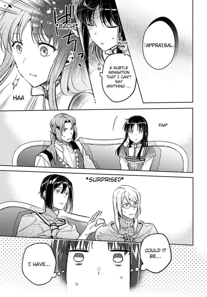 Seijo No Maryoku Wa Bannou Desu Chapter 10 page 17