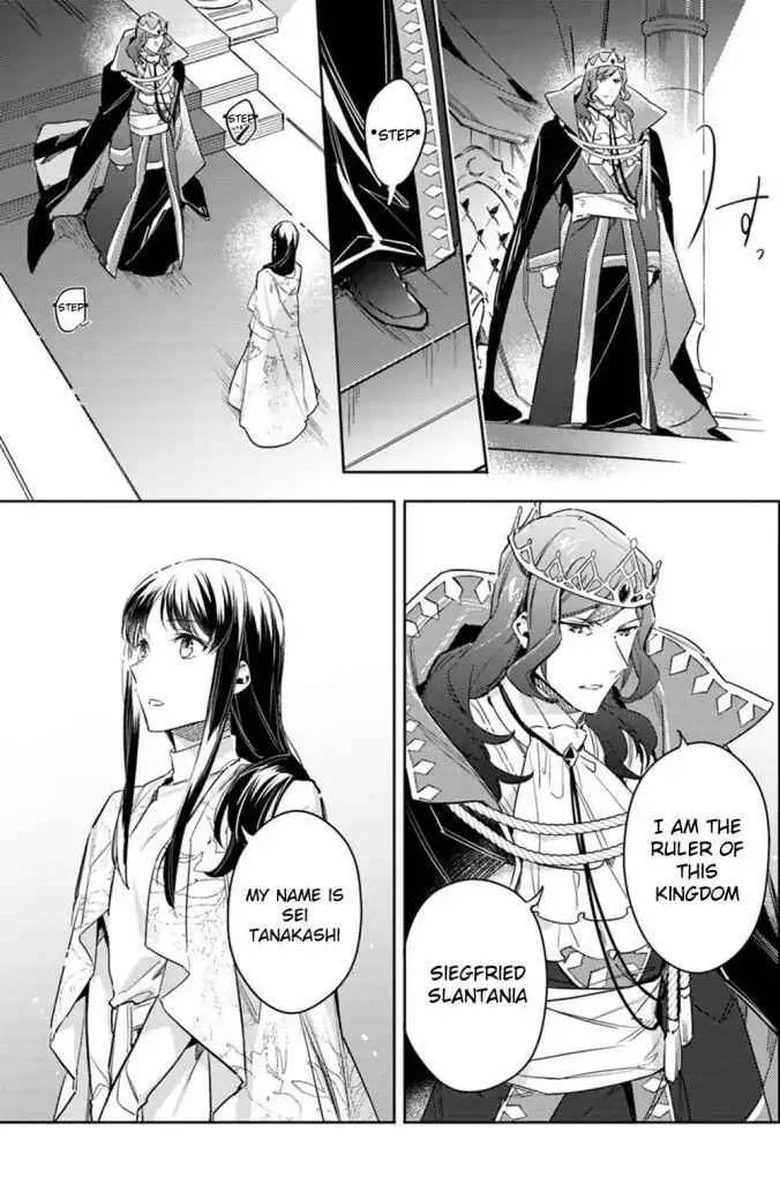 Seijo No Maryoku Wa Bannou Desu Chapter 11 page 21