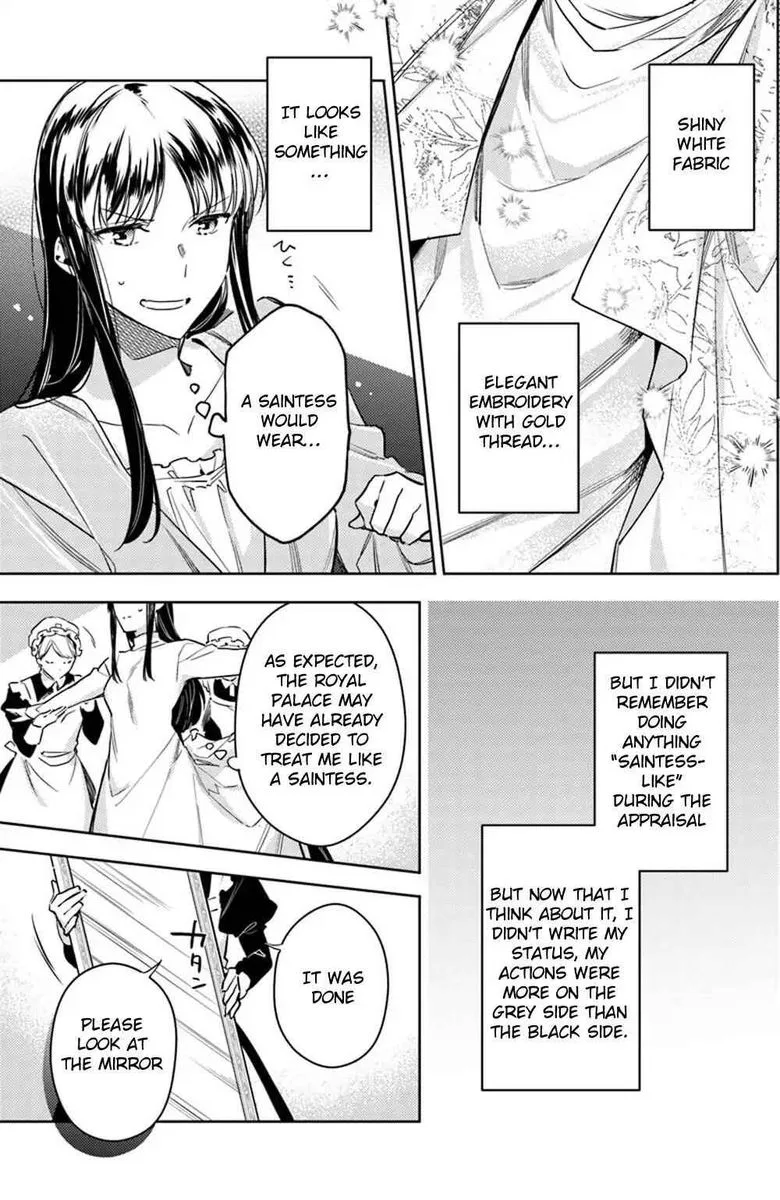 Seijo No Maryoku Wa Bannou Desu Chapter 11 page 11