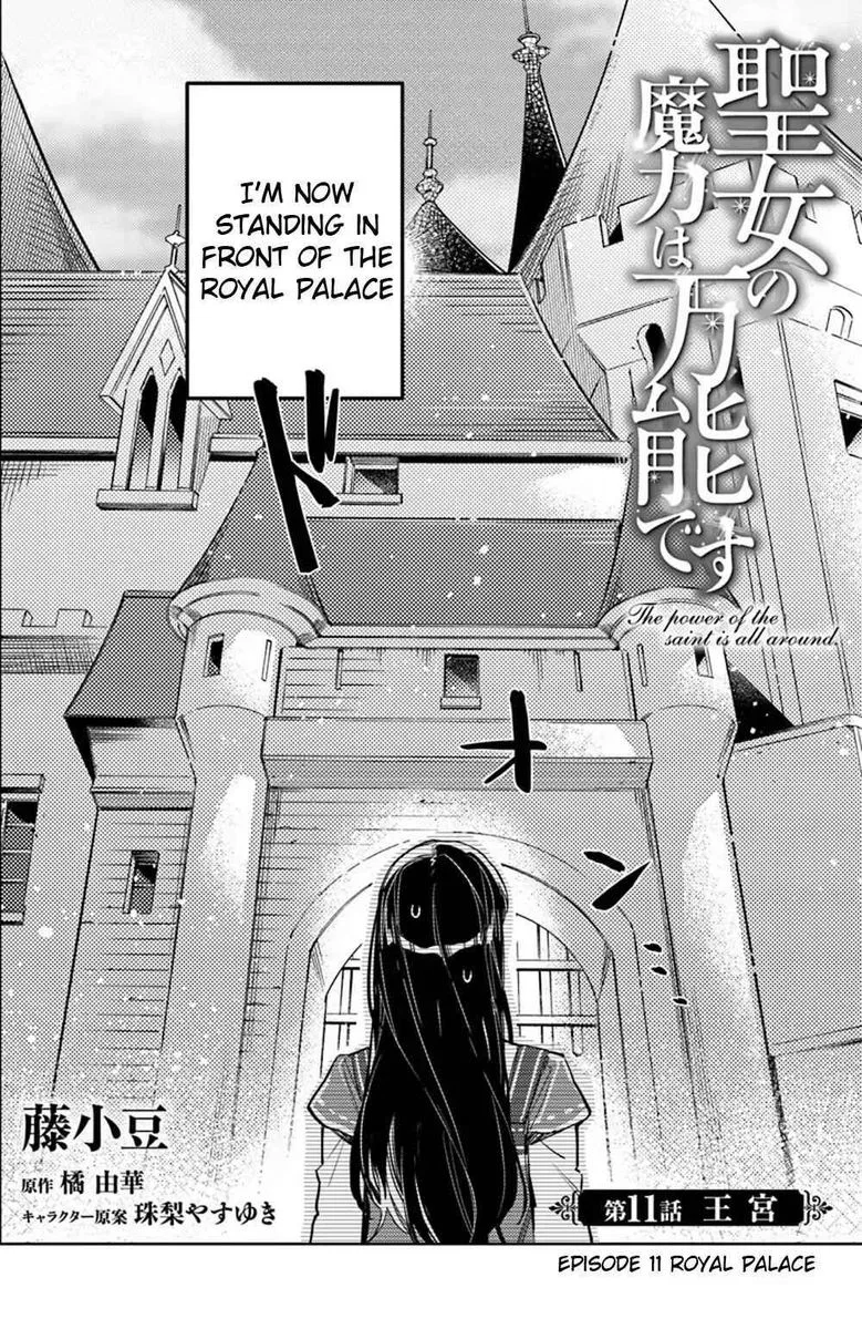 Seijo No Maryoku Wa Bannou Desu Chapter 11 page 2