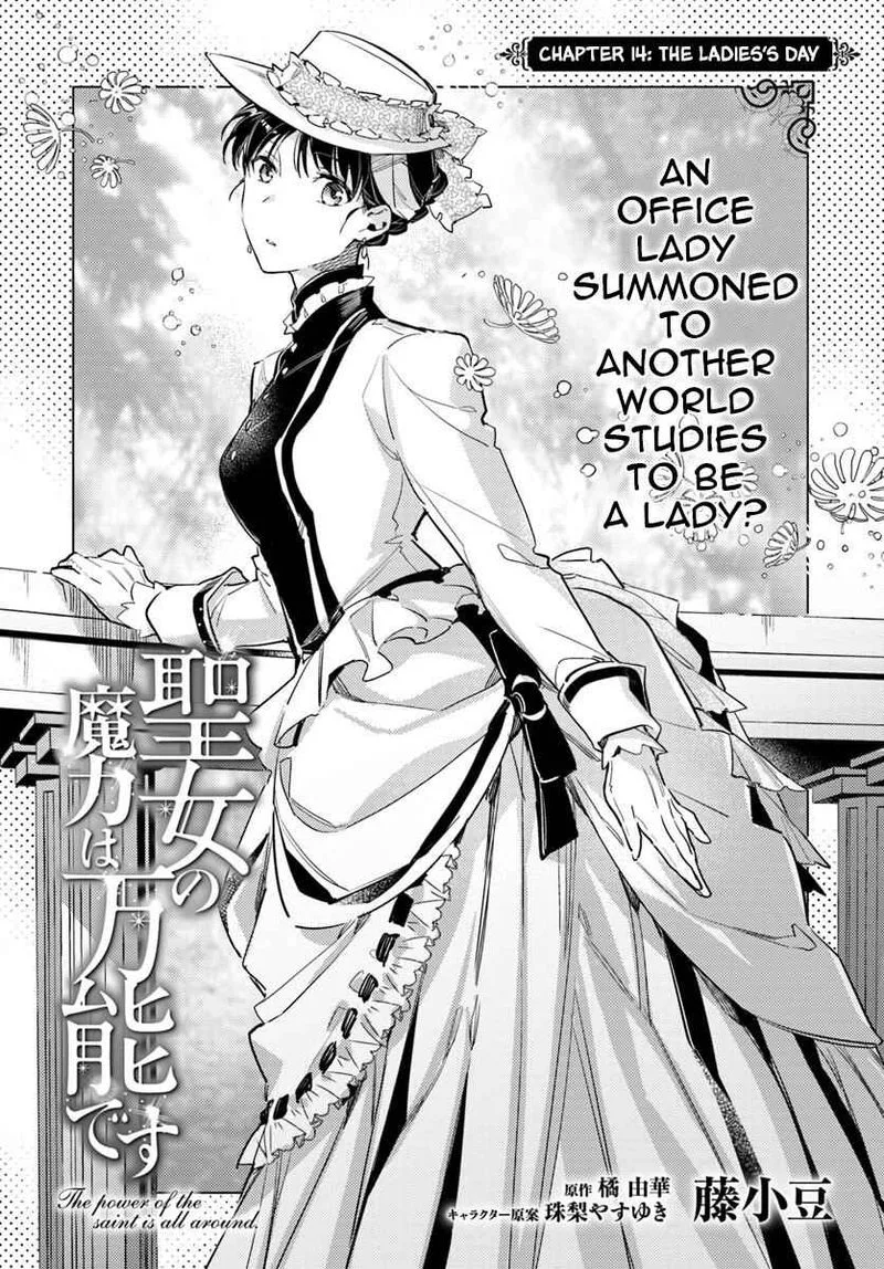 Seijo No Maryoku Wa Bannou Desu Chapter 14 page 2