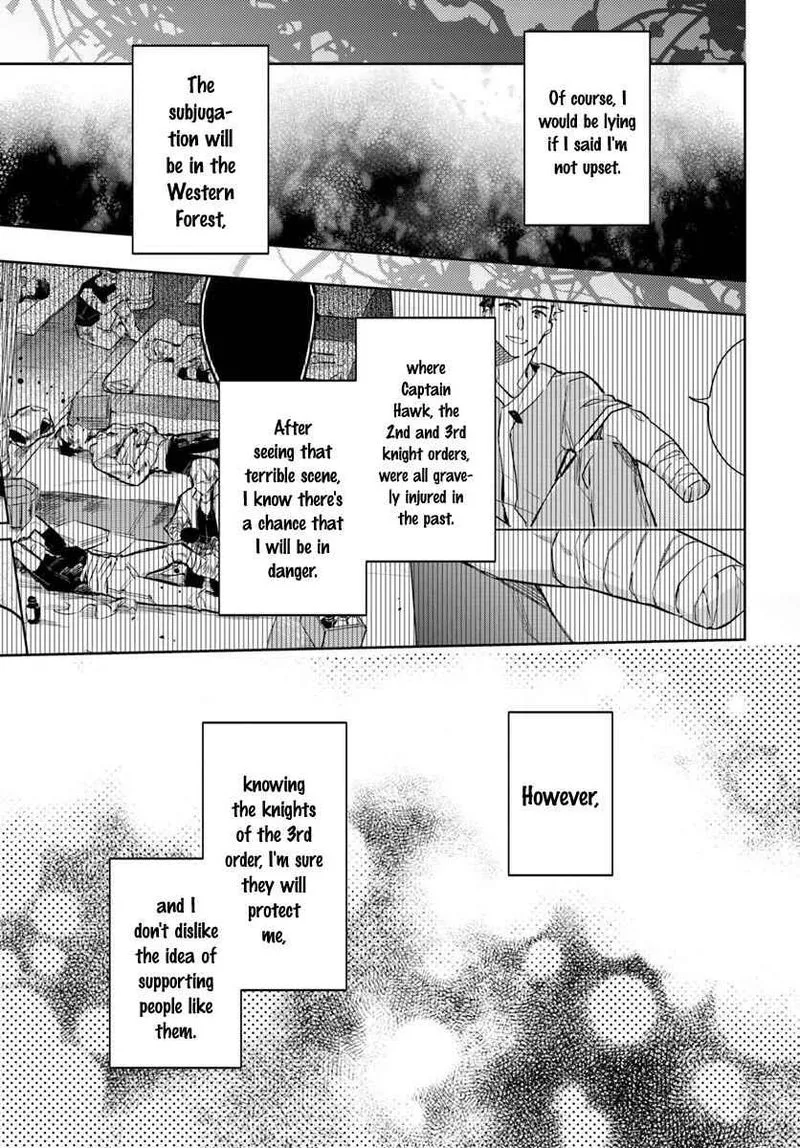 Seijo No Maryoku Wa Bannou Desu Chapter 19 page 17