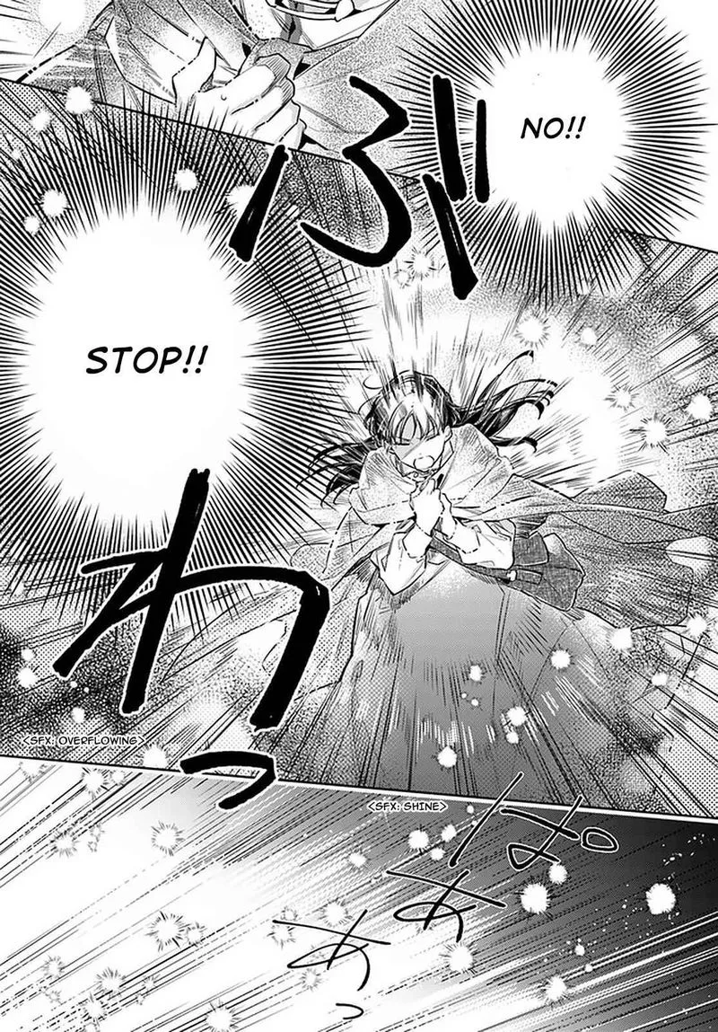 Seijo No Maryoku Wa Bannou Desu Chapter 22 page 15