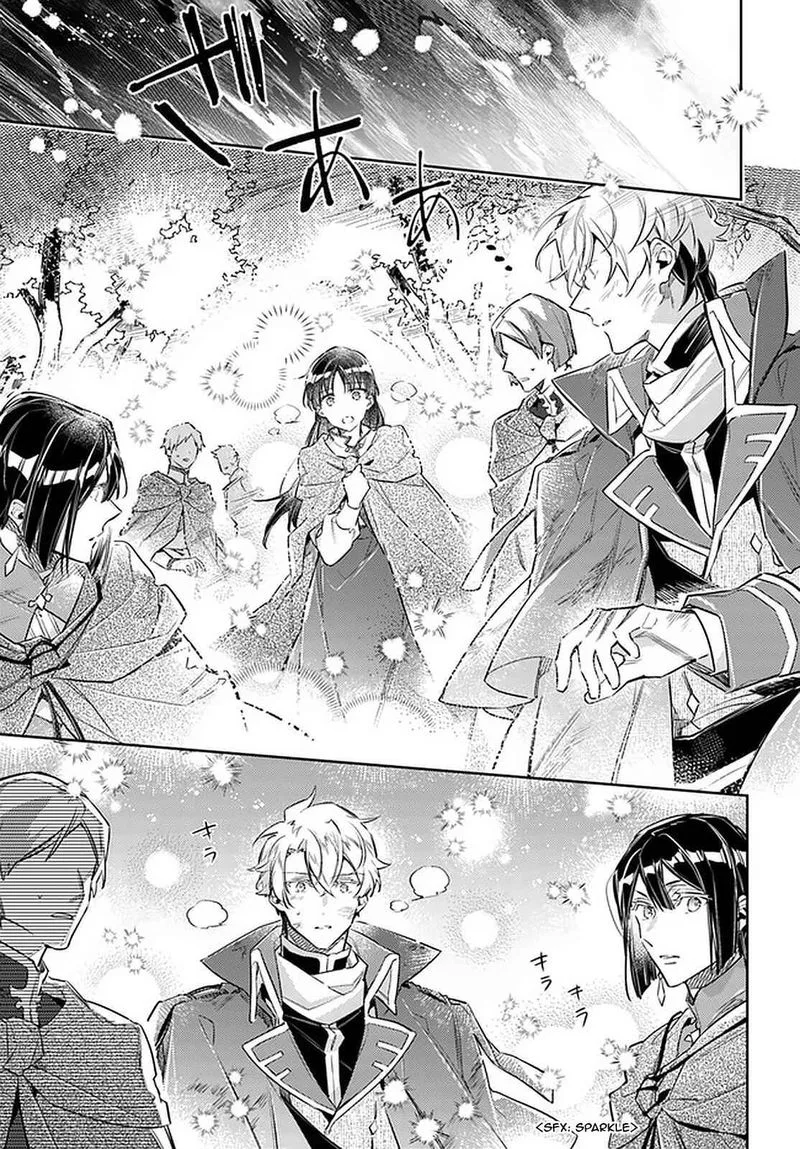 Seijo No Maryoku Wa Bannou Desu Chapter 22 page 17