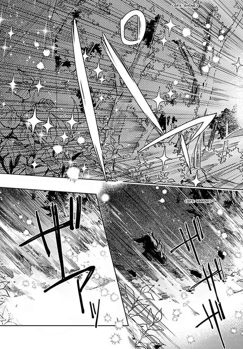 Seijo No Maryoku Wa Bannou Desu Chapter 22 page 21