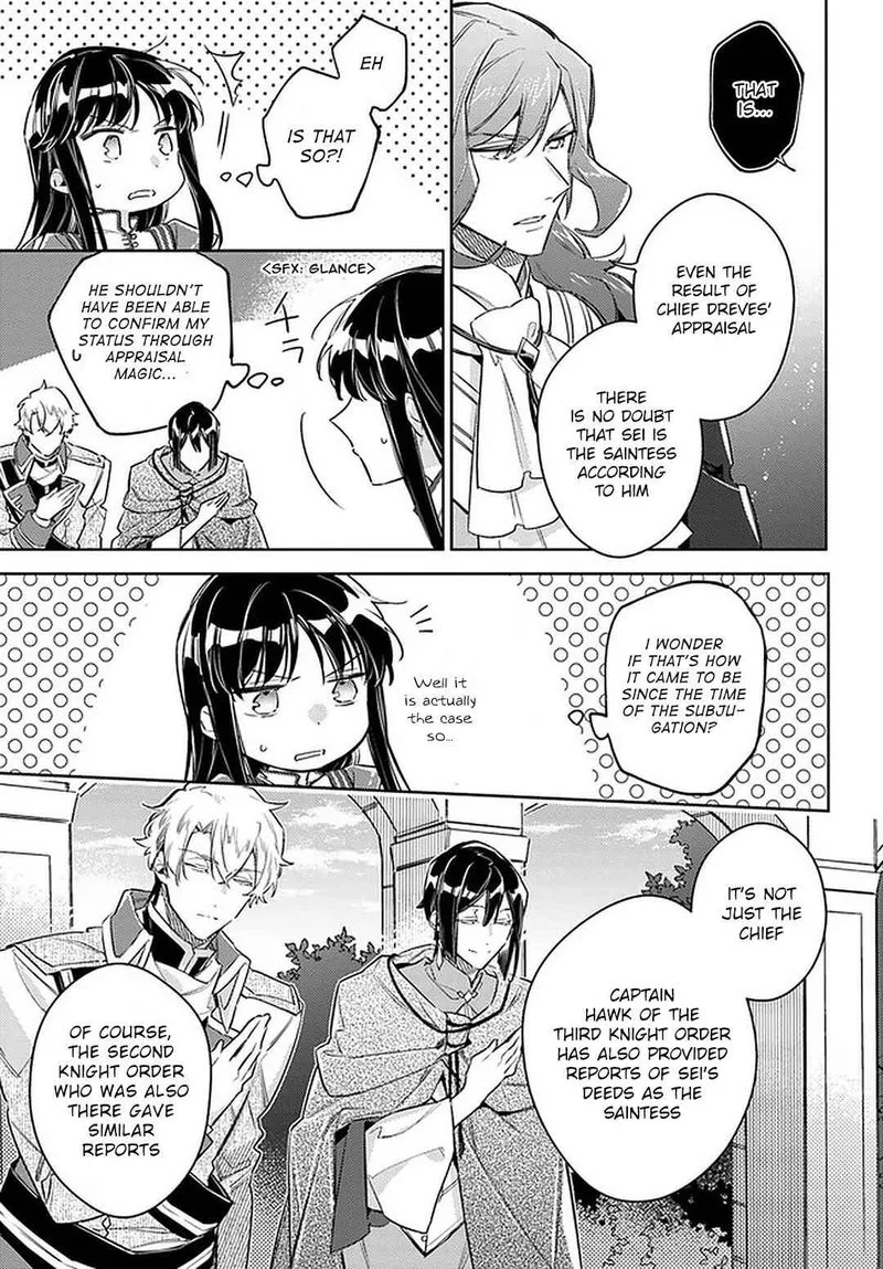 Seijo No Maryoku Wa Bannou Desu Chapter 24 page 17