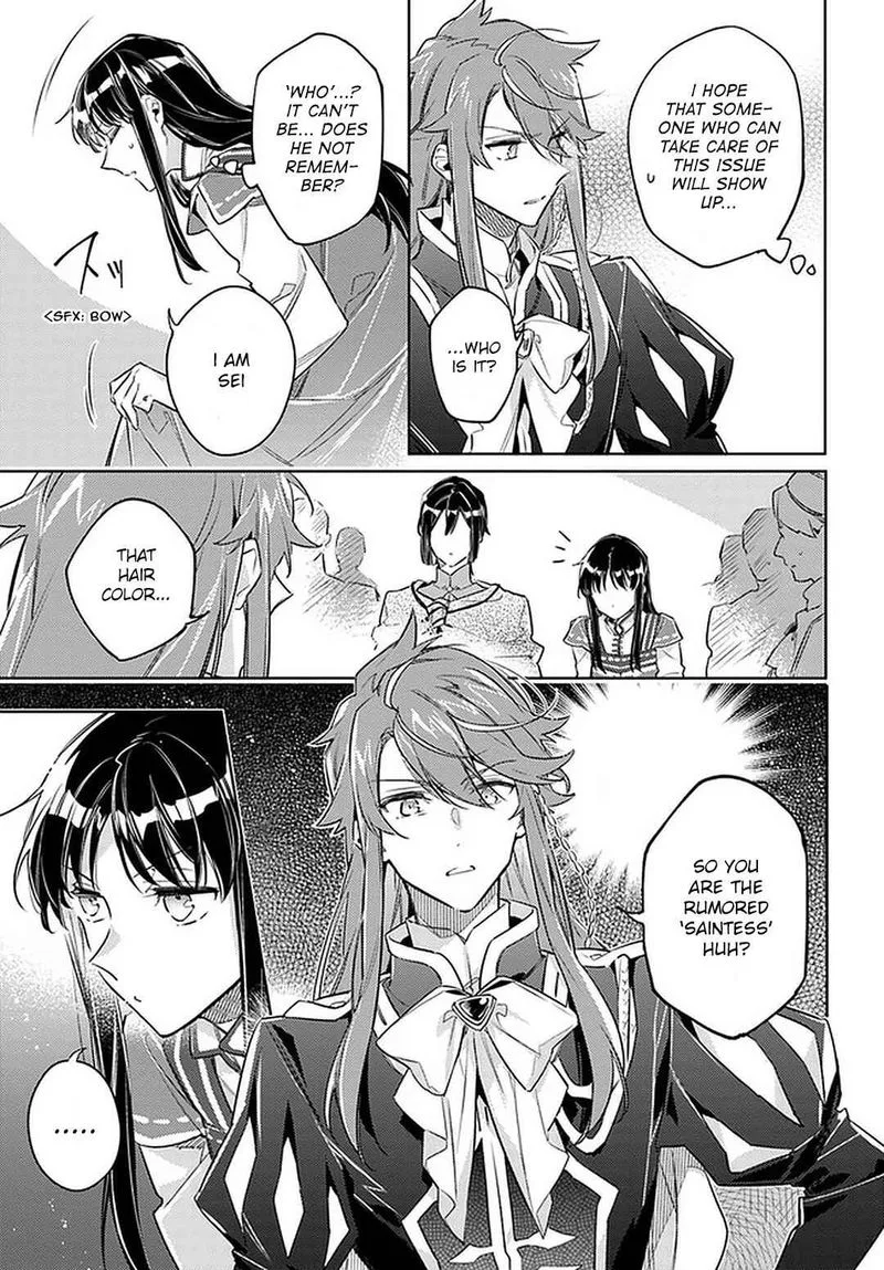 Seijo No Maryoku Wa Bannou Desu Chapter 24 page 9