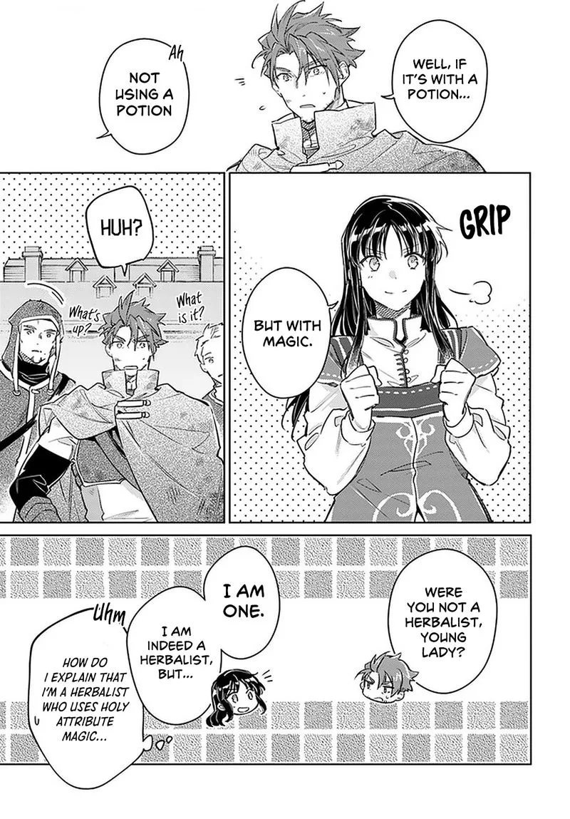 Seijo No Maryoku Wa Bannou Desu Chapter 29 page 21