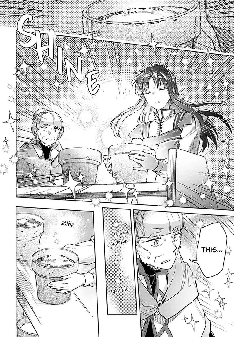 Seijo No Maryoku Wa Bannou Desu Chapter 30 page 10
