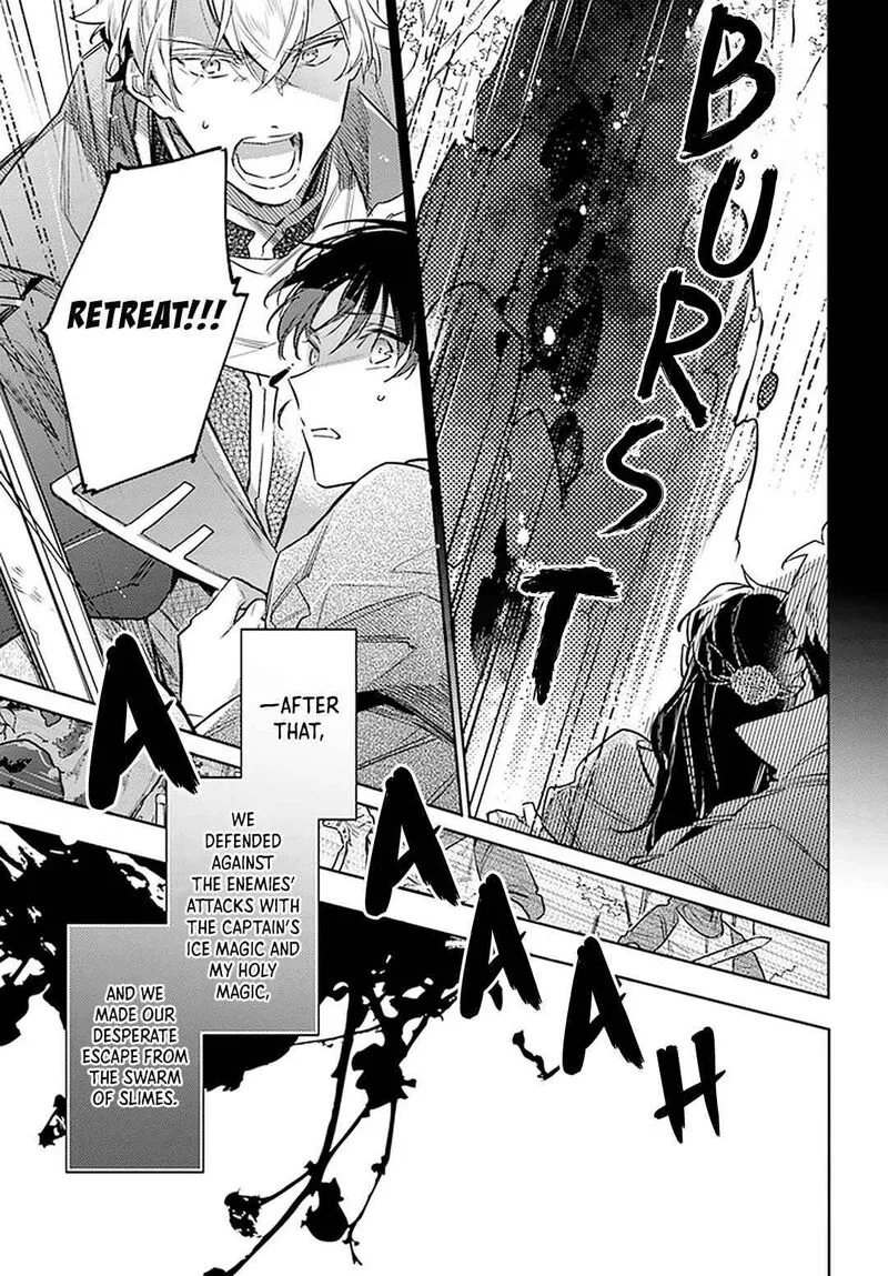 Seijo No Maryoku Wa Bannou Desu Chapter 31 page 17