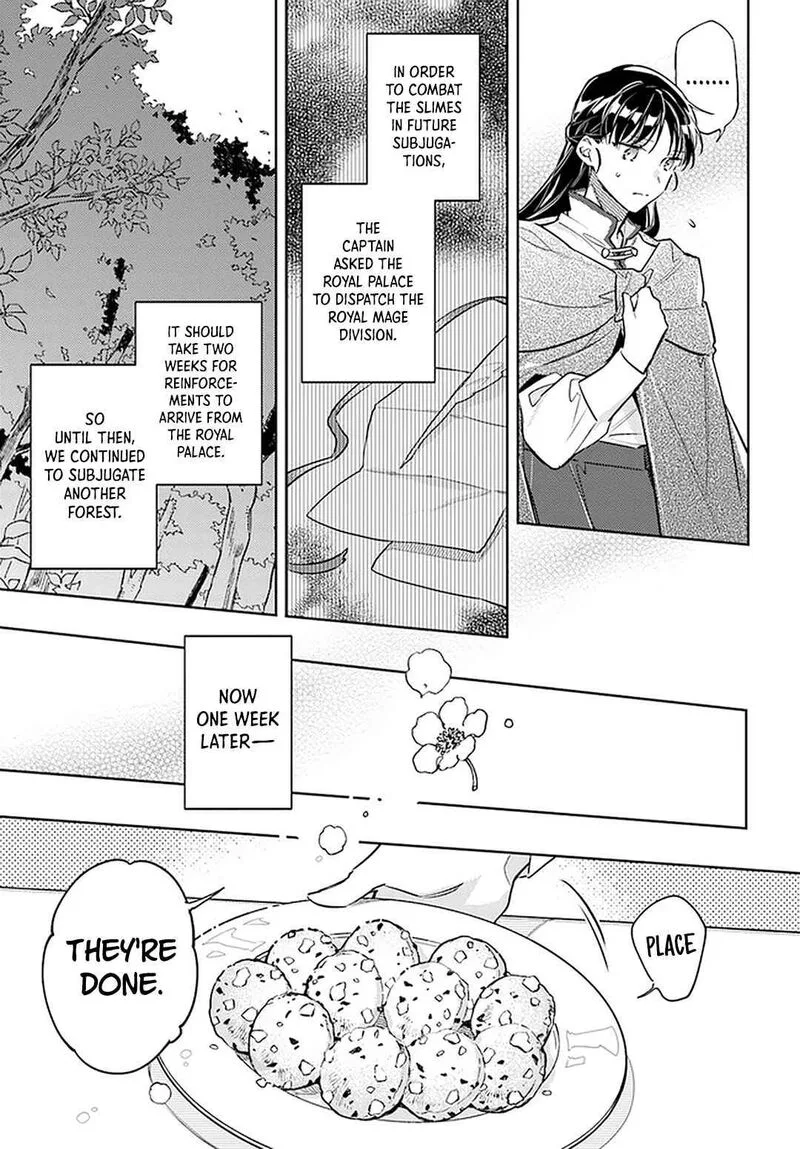 Seijo No Maryoku Wa Bannou Desu Chapter 31 page 19