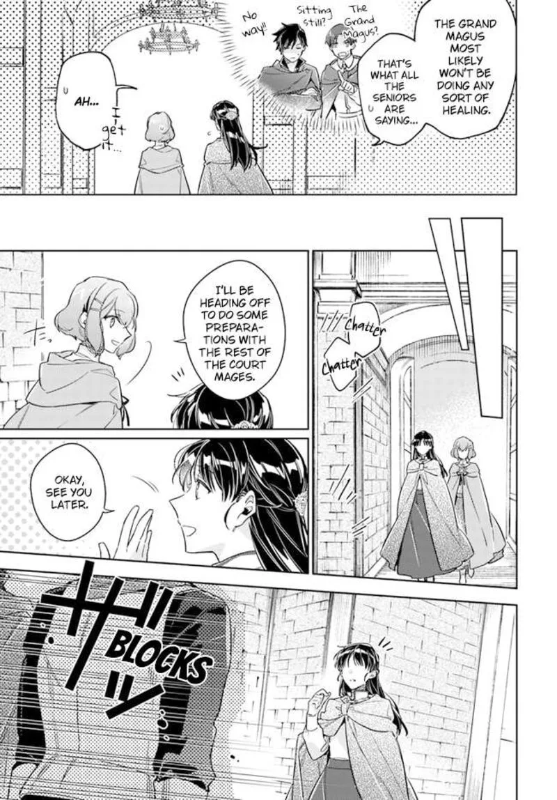 Seijo No Maryoku Wa Bannou Desu Chapter 33 page 5