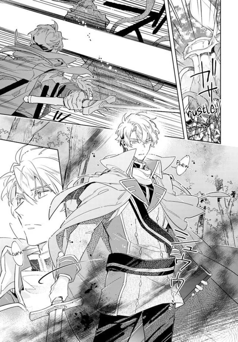 Seijo No Maryoku Wa Bannou Desu Chapter 33 page 17