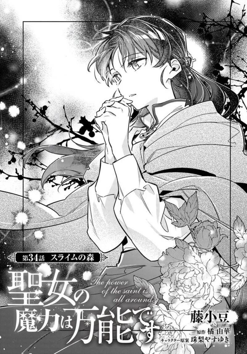 Seijo No Maryoku Wa Bannou Desu Chapter 34 page 1