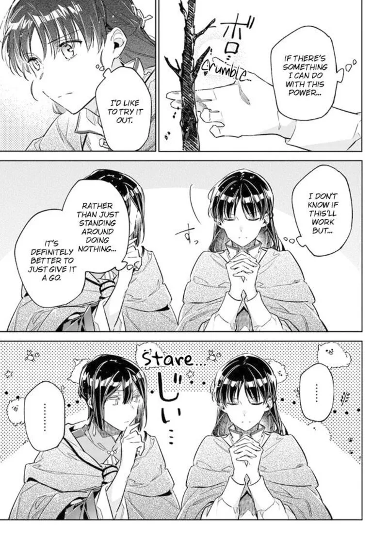 Seijo No Maryoku Wa Bannou Desu Chapter 34 page 24