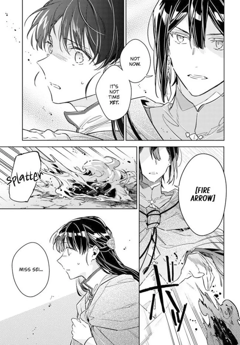 Seijo No Maryoku Wa Bannou Desu Chapter 34 page 11