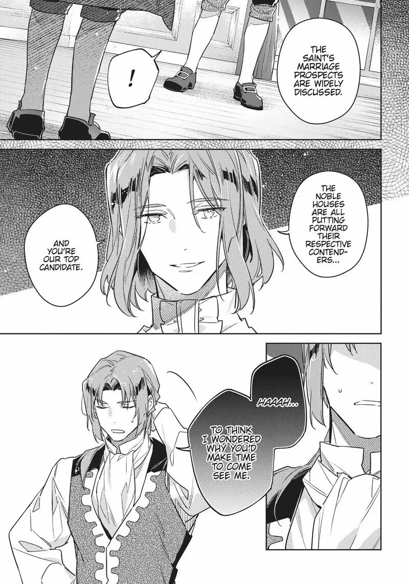 Seijo No Maryoku Wa Bannou Desu Chapter 37.5 page 27