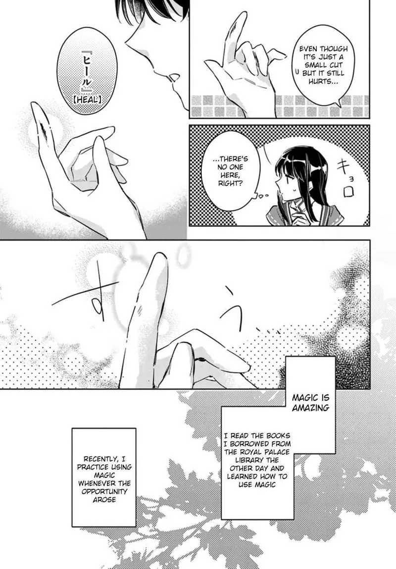 Seijo No Maryoku Wa Bannou Desu Chapter 8 page 27