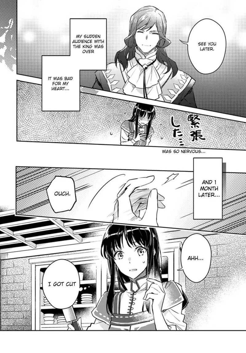 Seijo No Maryoku Wa Bannou Desu Chapter 8 page 26