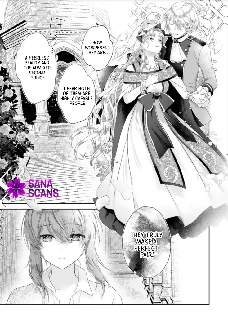 Seijou no Ane desu ga, Imouto no Tame no Tokushu Masekiya Tokushu Yakusou no Saishu wo Yametara, Ringoku no Majutsushi-sama no Moto de Shiawase ni narimashita! Chapter 1 page 7