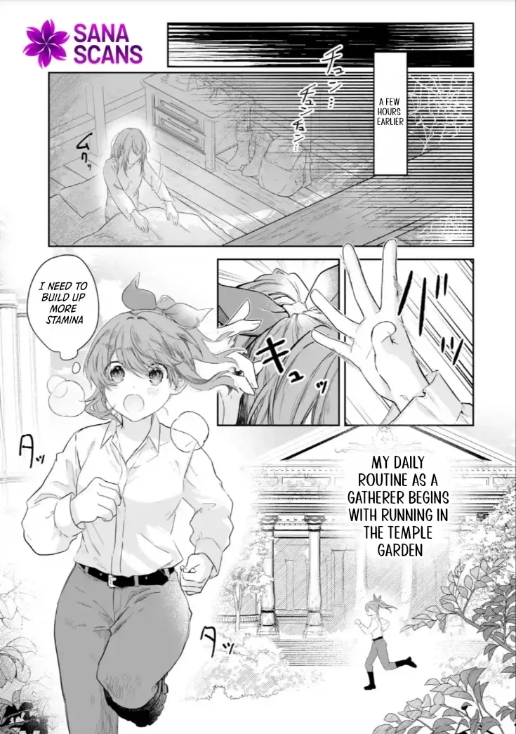 Seijou no Ane desu ga, Imouto no Tame no Tokushu Masekiya Tokushu Yakusou no Saishu wo Yametara, Ringoku no Majutsushi-sama no Moto de Shiawase ni narimashita! Chapter 1 page 5