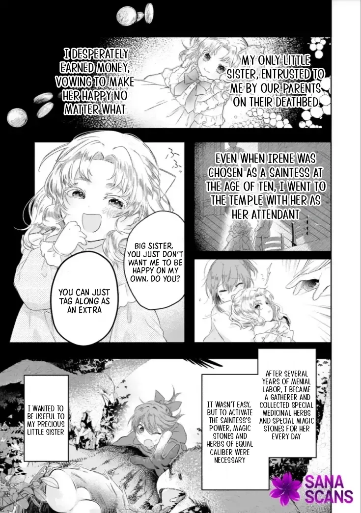 Seijou no Ane desu ga, Imouto no Tame no Tokushu Masekiya Tokushu Yakusou no Saishu wo Yametara, Ringoku no Majutsushi-sama no Moto de Shiawase ni narimashita! Chapter 1 page 13