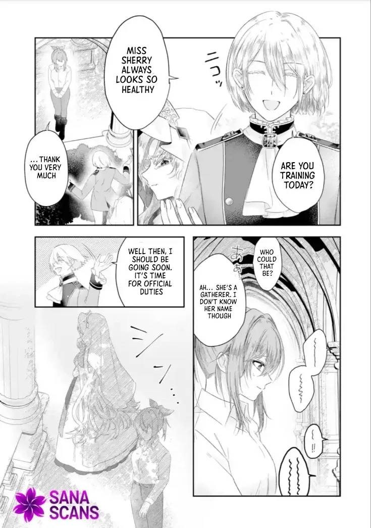 Seijou no Ane desu ga, Imouto no Tame no Tokushu Masekiya Tokushu Yakusou no Saishu wo Yametara, Ringoku no Majutsushi-sama no Moto de Shiawase ni narimashita! Chapter 1 page 9