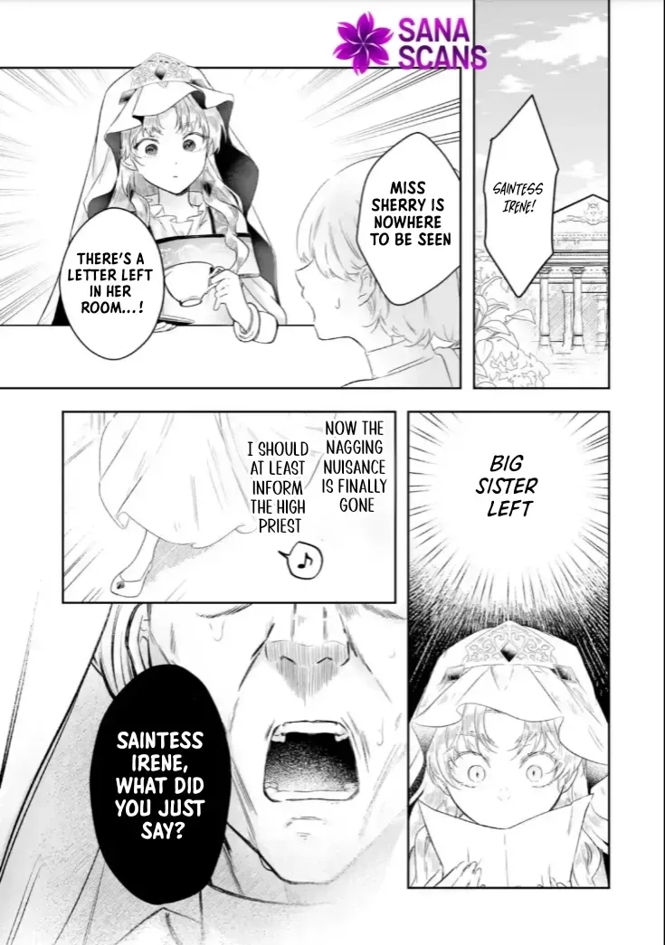 Seijou no Ane desu ga, Imouto no Tame no Tokushu Masekiya Tokushu Yakusou no Saishu wo Yametara, Ringoku no Majutsushi-sama no Moto de Shiawase ni narimashita! Chapter 1 page 53