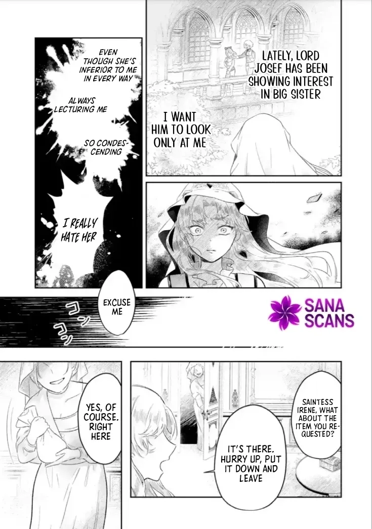 Seijou no Ane desu ga, Imouto no Tame no Tokushu Masekiya Tokushu Yakusou no Saishu wo Yametara, Ringoku no Majutsushi-sama no Moto de Shiawase ni narimashita! Chapter 1 page 51