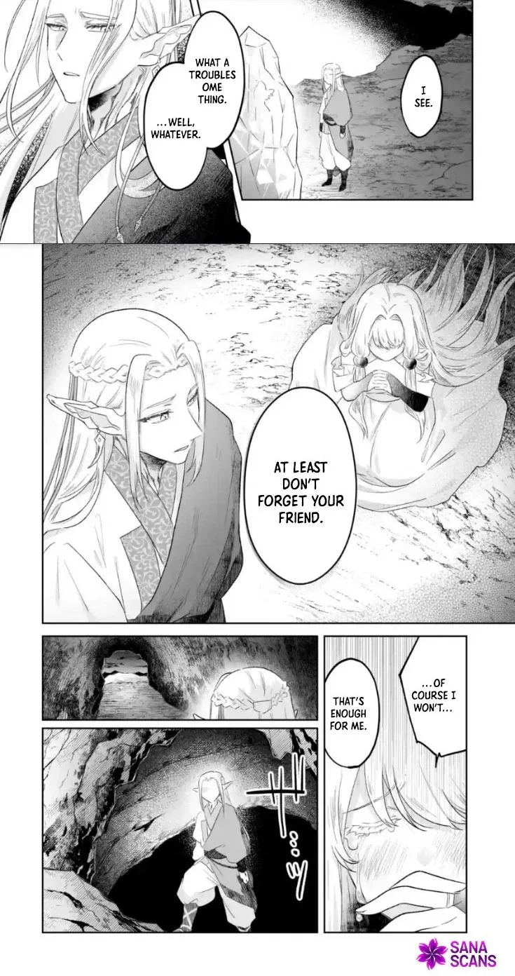 Seijou no Ane desu ga, Imouto no Tame no Tokushu Masekiya Tokushu Yakusou no Saishu wo Yametara, Ringoku no Majutsushi-sama no Moto de Shiawase ni narimashita! Chapter 12 page 3