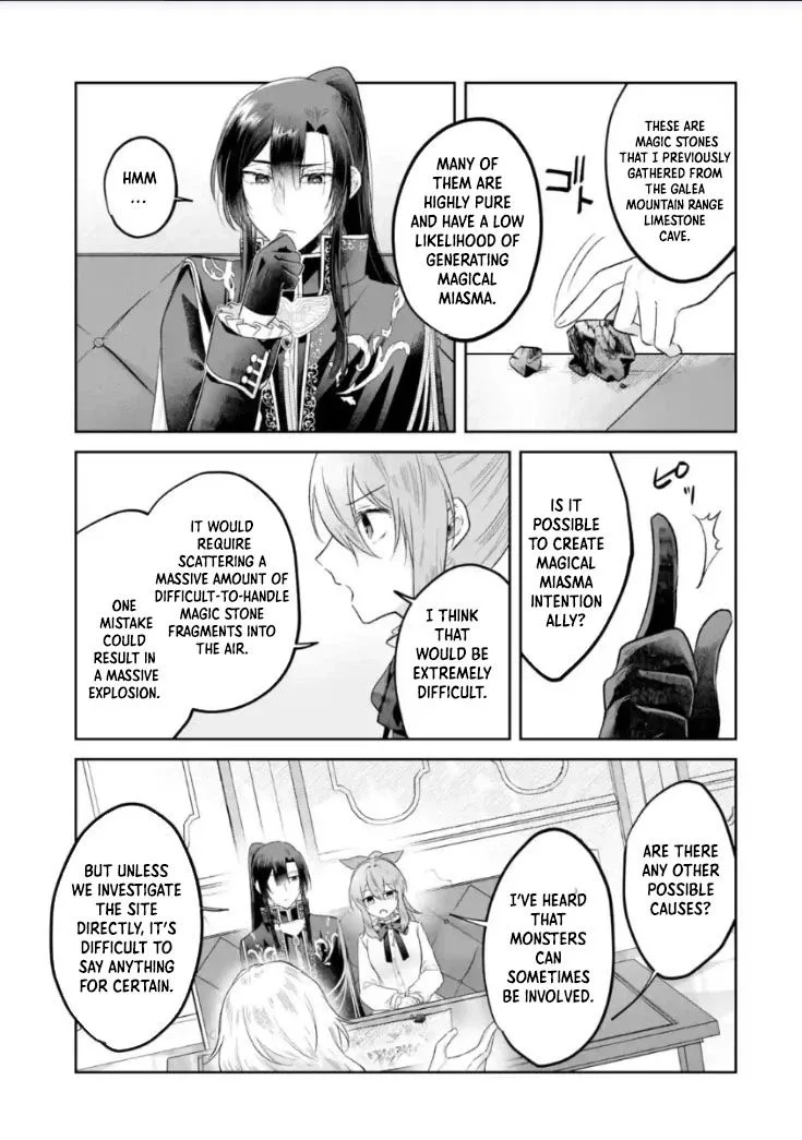 Seijou no Ane desu ga, Imouto no Tame no Tokushu Masekiya Tokushu Yakusou no Saishu wo Yametara, Ringoku no Majutsushi-sama no Moto de Shiawase ni narimashita! Chapter 12 page 19