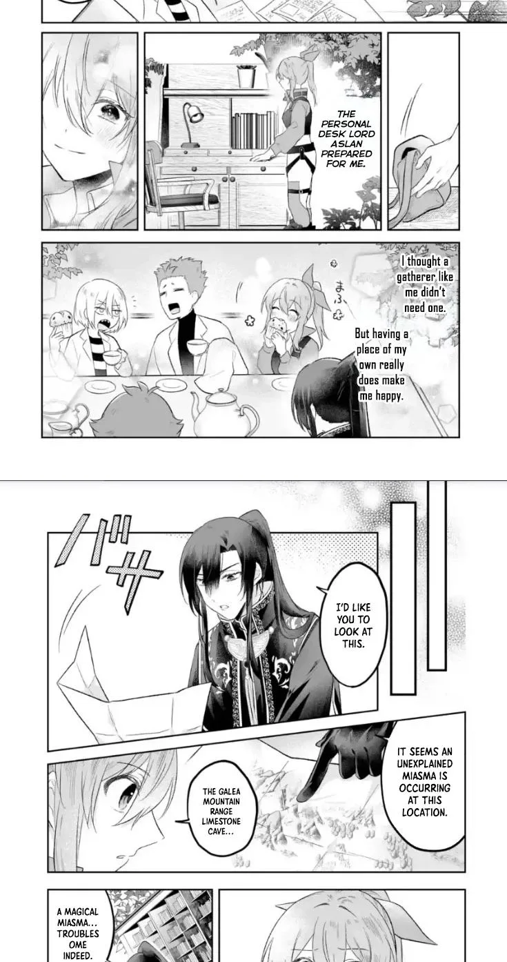 Seijou no Ane desu ga, Imouto no Tame no Tokushu Masekiya Tokushu Yakusou no Saishu wo Yametara, Ringoku no Majutsushi-sama no Moto de Shiawase ni narimashita! Chapter 12 page 11