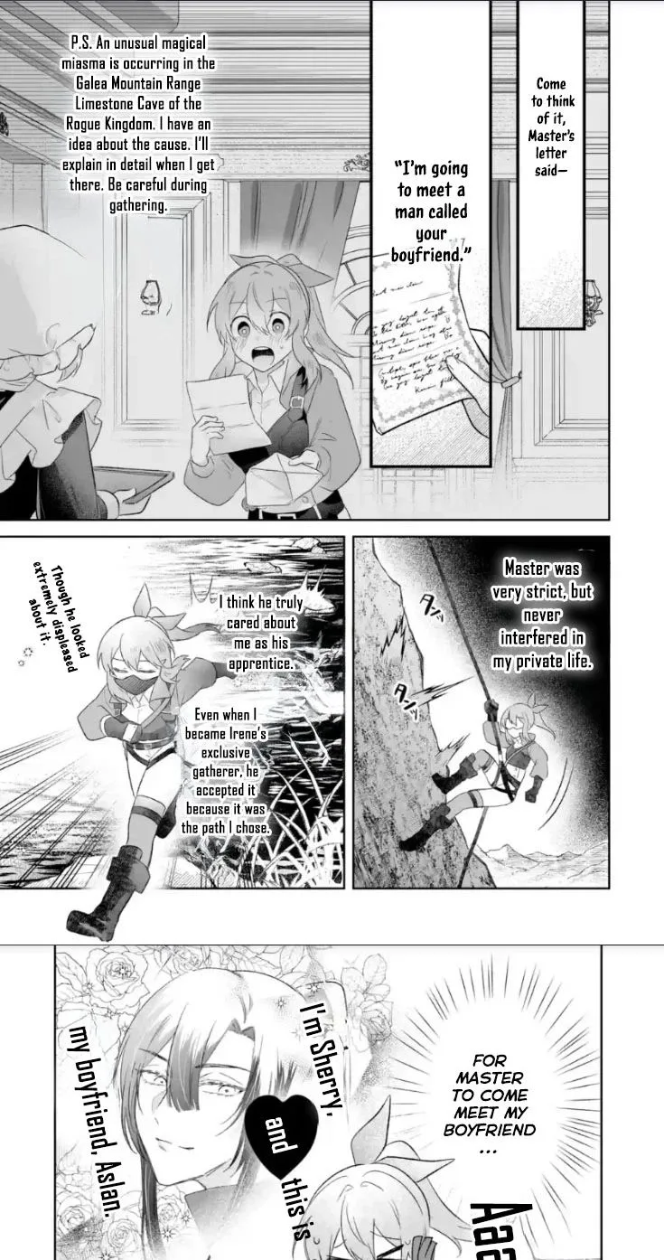 Seijou no Ane desu ga, Imouto no Tame no Tokushu Masekiya Tokushu Yakusou no Saishu wo Yametara, Ringoku no Majutsushi-sama no Moto de Shiawase ni narimashita! Chapter 12 page 7