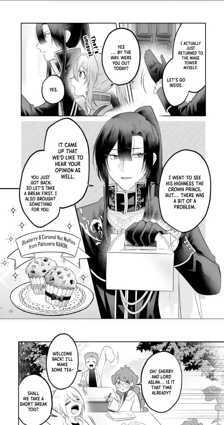 Seijou no Ane desu ga, Imouto no Tame no Tokushu Masekiya Tokushu Yakusou no Saishu wo Yametara, Ringoku no Majutsushi-sama no Moto de Shiawase ni narimashita! Chapter 12 page 10