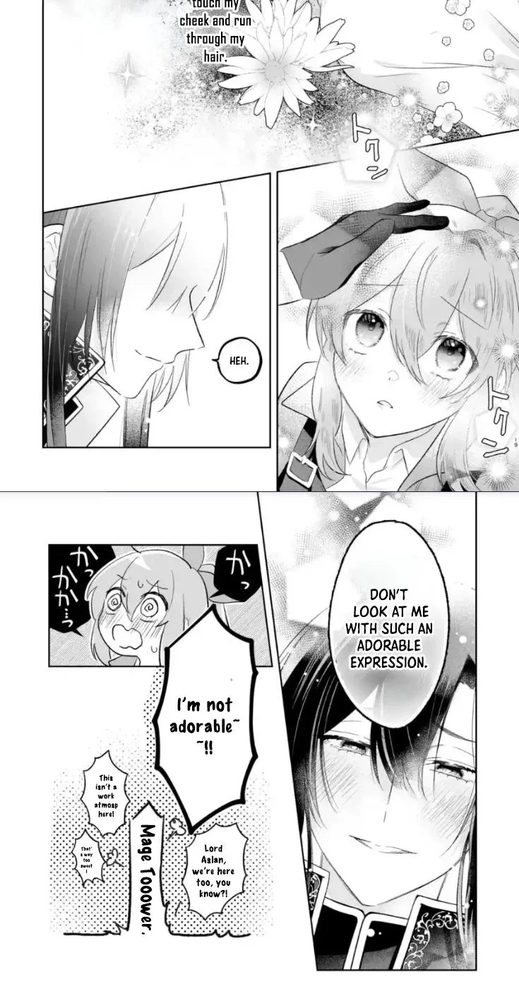 Seijou no Ane desu ga, Imouto no Tame no Tokushu Masekiya Tokushu Yakusou no Saishu wo Yametara, Ringoku no Majutsushi-sama no Moto de Shiawase ni narimashita! Chapter 12 page 14