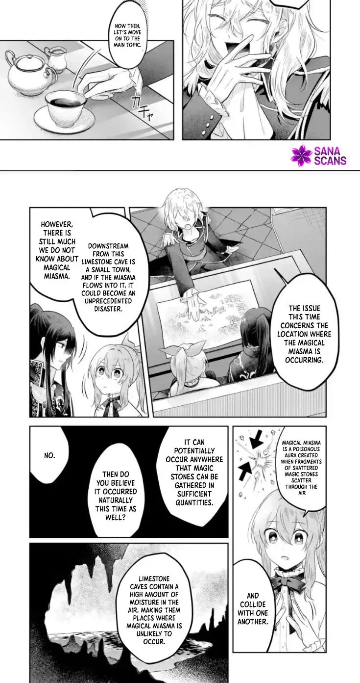 Seijou no Ane desu ga, Imouto no Tame no Tokushu Masekiya Tokushu Yakusou no Saishu wo Yametara, Ringoku no Majutsushi-sama no Moto de Shiawase ni narimashita! Chapter 12 page 18