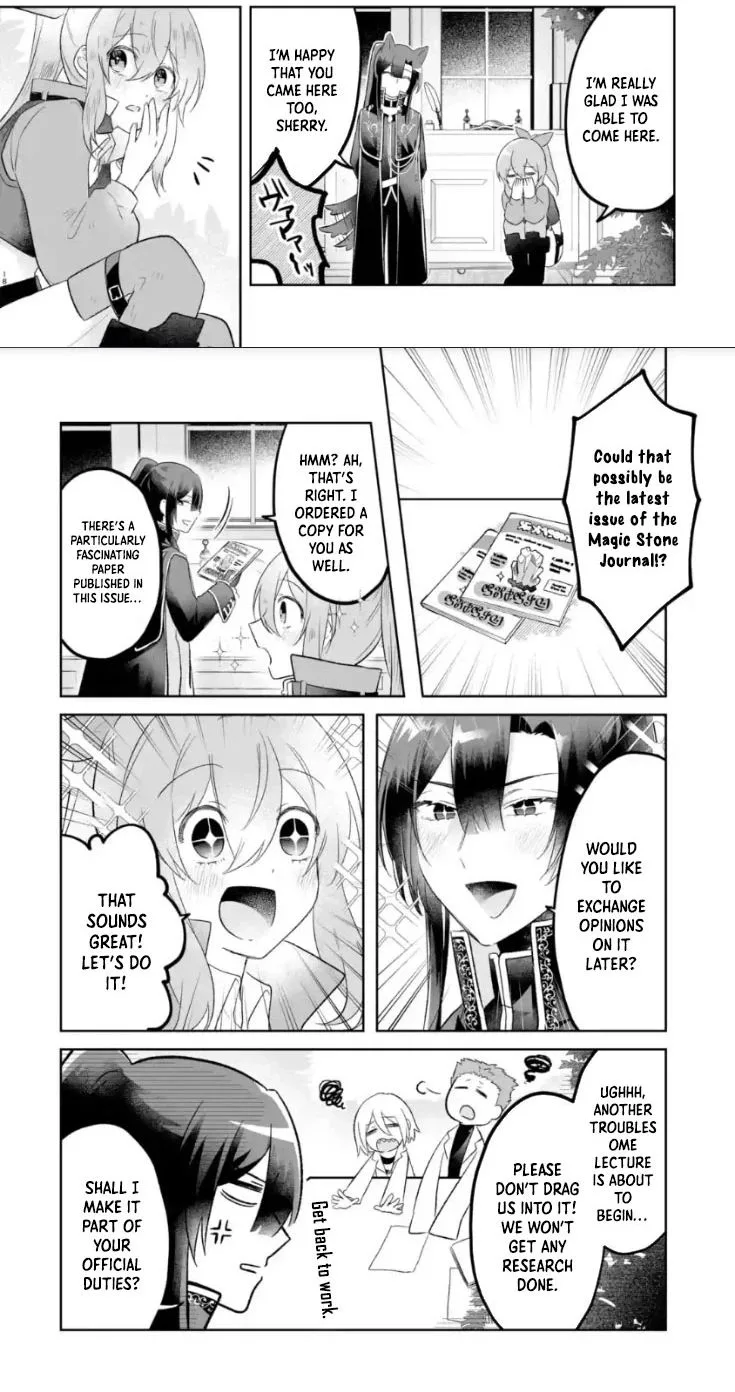 Seijou no Ane desu ga, Imouto no Tame no Tokushu Masekiya Tokushu Yakusou no Saishu wo Yametara, Ringoku no Majutsushi-sama no Moto de Shiawase ni narimashita! Chapter 12 page 15