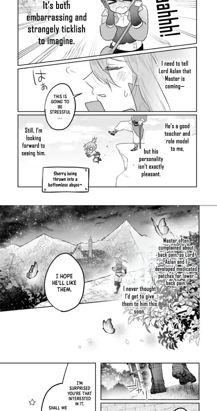 Seijou no Ane desu ga, Imouto no Tame no Tokushu Masekiya Tokushu Yakusou no Saishu wo Yametara, Ringoku no Majutsushi-sama no Moto de Shiawase ni narimashita! Chapter 12 page 8