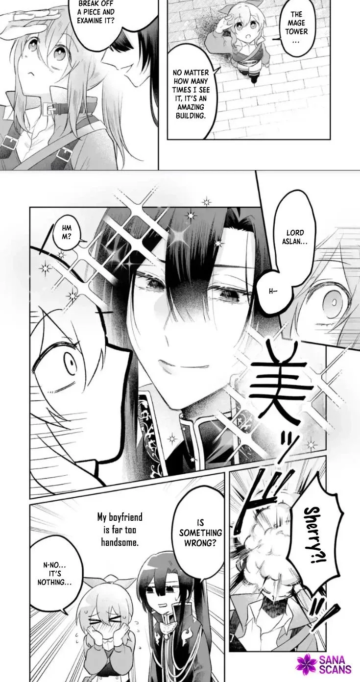 Seijou no Ane desu ga, Imouto no Tame no Tokushu Masekiya Tokushu Yakusou no Saishu wo Yametara, Ringoku no Majutsushi-sama no Moto de Shiawase ni narimashita! Chapter 12 page 9
