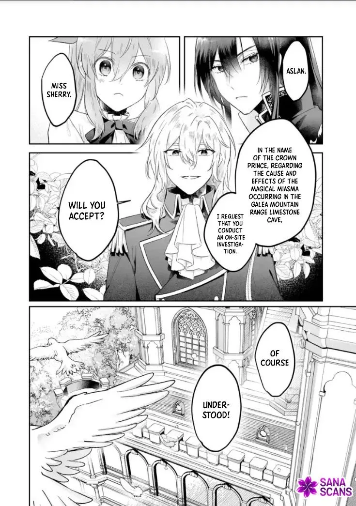 Seijou no Ane desu ga, Imouto no Tame no Tokushu Masekiya Tokushu Yakusou no Saishu wo Yametara, Ringoku no Majutsushi-sama no Moto de Shiawase ni narimashita! Chapter 12 page 20