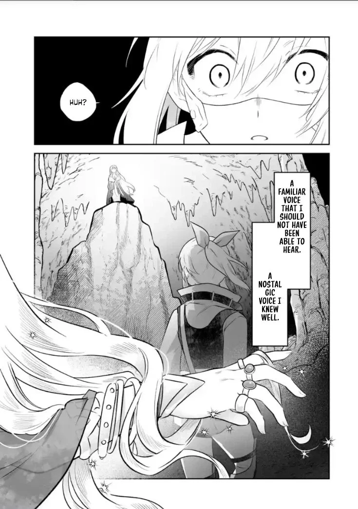 Seijou no Ane desu ga, Imouto no Tame no Tokushu Masekiya Tokushu Yakusou no Saishu wo Yametara, Ringoku no Majutsushi-sama no Moto de Shiawase ni narimashita! Chapter 13 page 22