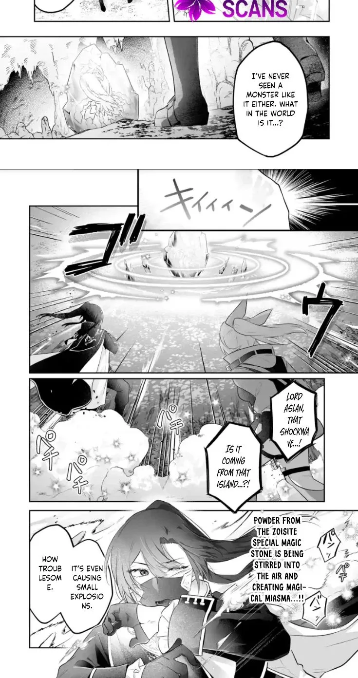 Seijou no Ane desu ga, Imouto no Tame no Tokushu Masekiya Tokushu Yakusou no Saishu wo Yametara, Ringoku no Majutsushi-sama no Moto de Shiawase ni narimashita! Chapter 13 page 15