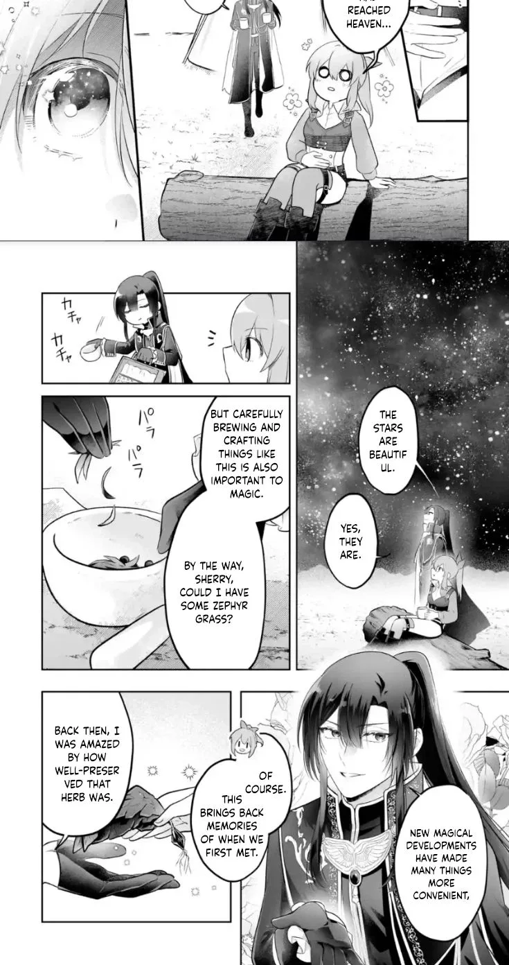 Seijou no Ane desu ga, Imouto no Tame no Tokushu Masekiya Tokushu Yakusou no Saishu wo Yametara, Ringoku no Majutsushi-sama no Moto de Shiawase ni narimashita! Chapter 13 page 9