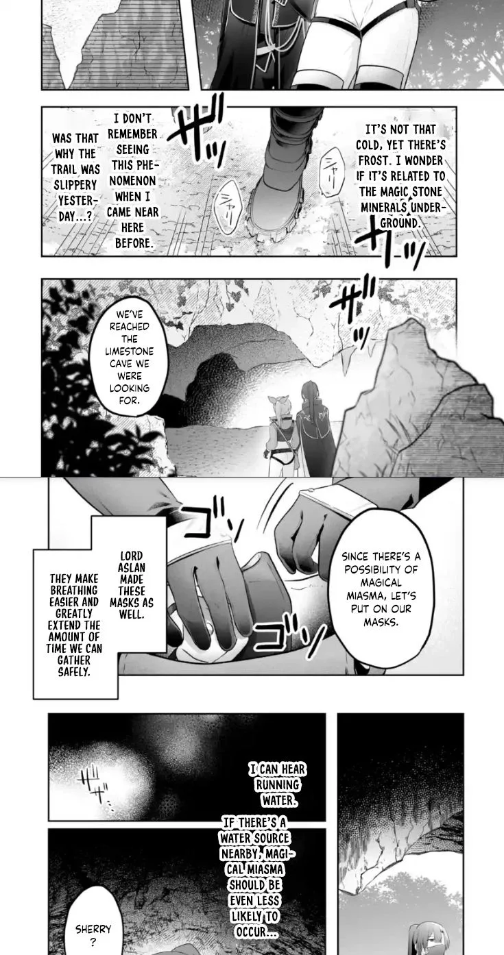 Seijou no Ane desu ga, Imouto no Tame no Tokushu Masekiya Tokushu Yakusou no Saishu wo Yametara, Ringoku no Majutsushi-sama no Moto de Shiawase ni narimashita! Chapter 13 page 11