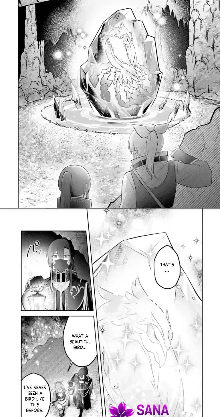 Seijou no Ane desu ga, Imouto no Tame no Tokushu Masekiya Tokushu Yakusou no Saishu wo Yametara, Ringoku no Majutsushi-sama no Moto de Shiawase ni narimashita! Chapter 13 page 14