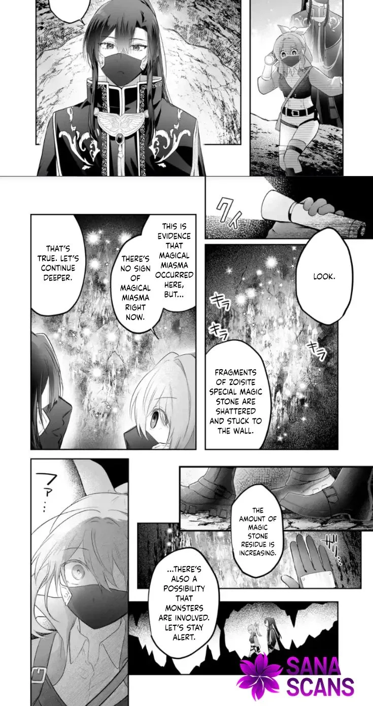 Seijou no Ane desu ga, Imouto no Tame no Tokushu Masekiya Tokushu Yakusou no Saishu wo Yametara, Ringoku no Majutsushi-sama no Moto de Shiawase ni narimashita! Chapter 13 page 12