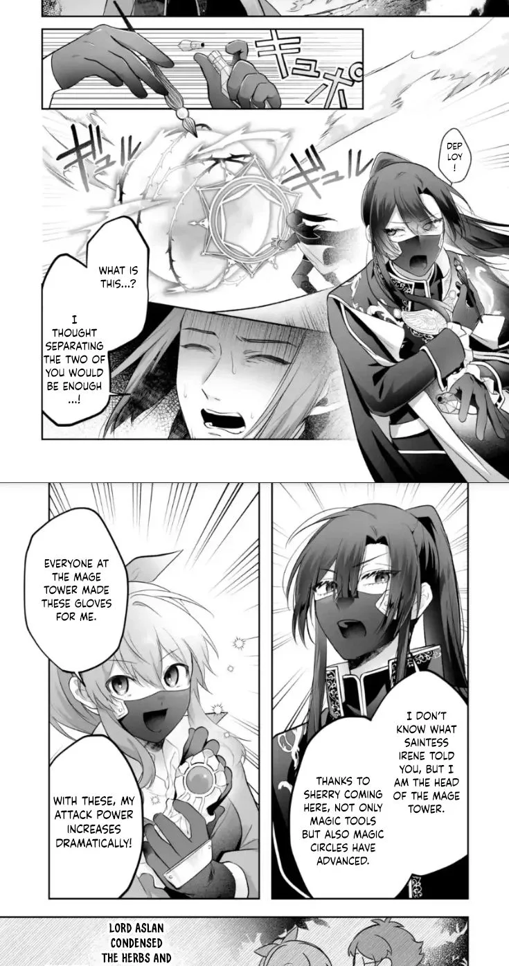 Seijou no Ane desu ga, Imouto no Tame no Tokushu Masekiya Tokushu Yakusou no Saishu wo Yametara, Ringoku no Majutsushi-sama no Moto de Shiawase ni narimashita! Chapter 13 page 20