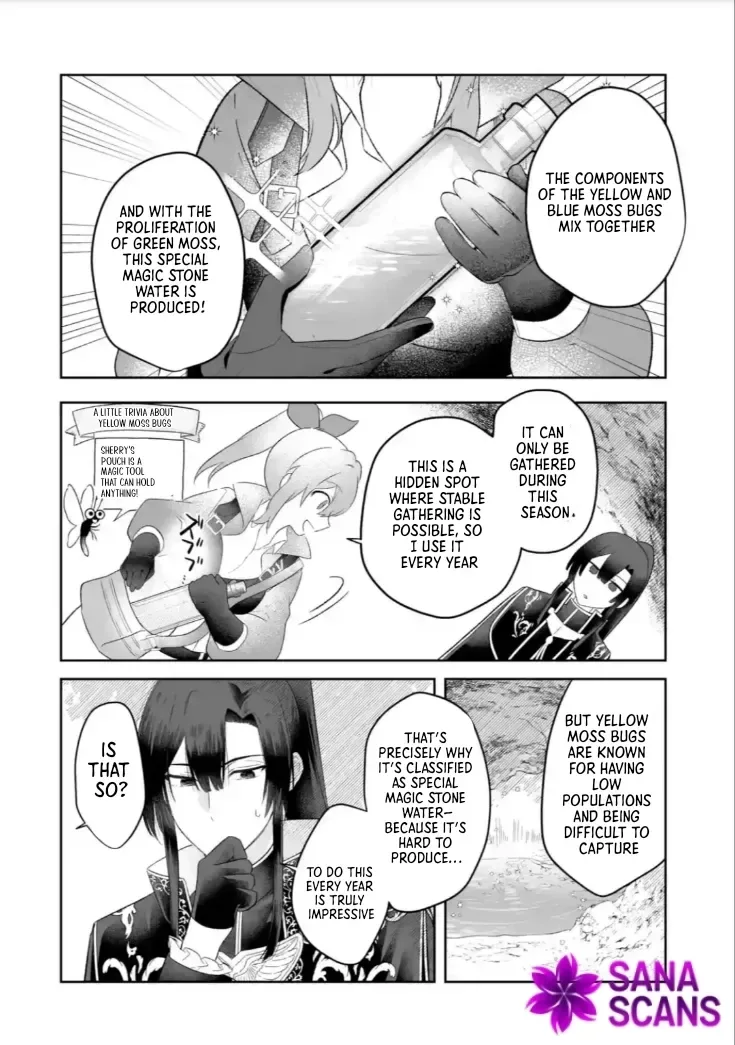 Seijou no Ane desu ga, Imouto no Tame no Tokushu Masekiya Tokushu Yakusou no Saishu wo Yametara, Ringoku no Majutsushi-sama no Moto de Shiawase ni narimashita! Chapter 2 page 22