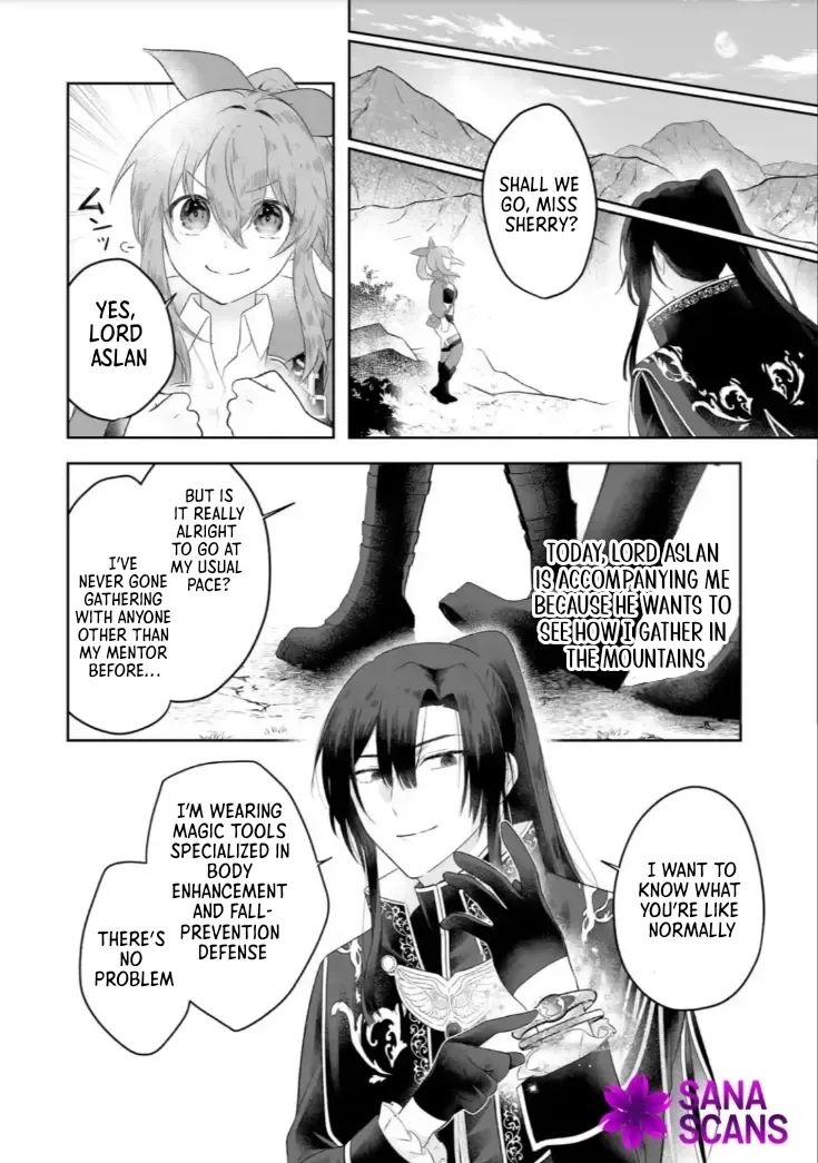 Seijou no Ane desu ga, Imouto no Tame no Tokushu Masekiya Tokushu Yakusou no Saishu wo Yametara, Ringoku no Majutsushi-sama no Moto de Shiawase ni narimashita! Chapter 2 page 12