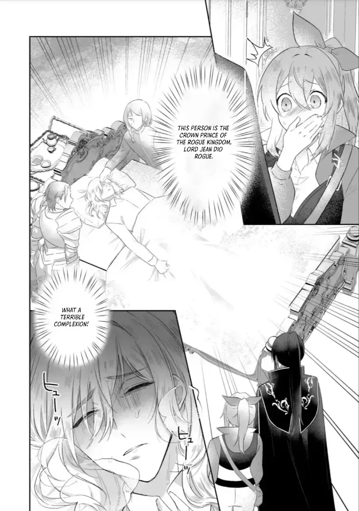 Seijou no Ane desu ga, Imouto no Tame no Tokushu Masekiya Tokushu Yakusou no Saishu wo Yametara, Ringoku no Majutsushi-sama no Moto de Shiawase ni narimashita! Chapter 3 page 16